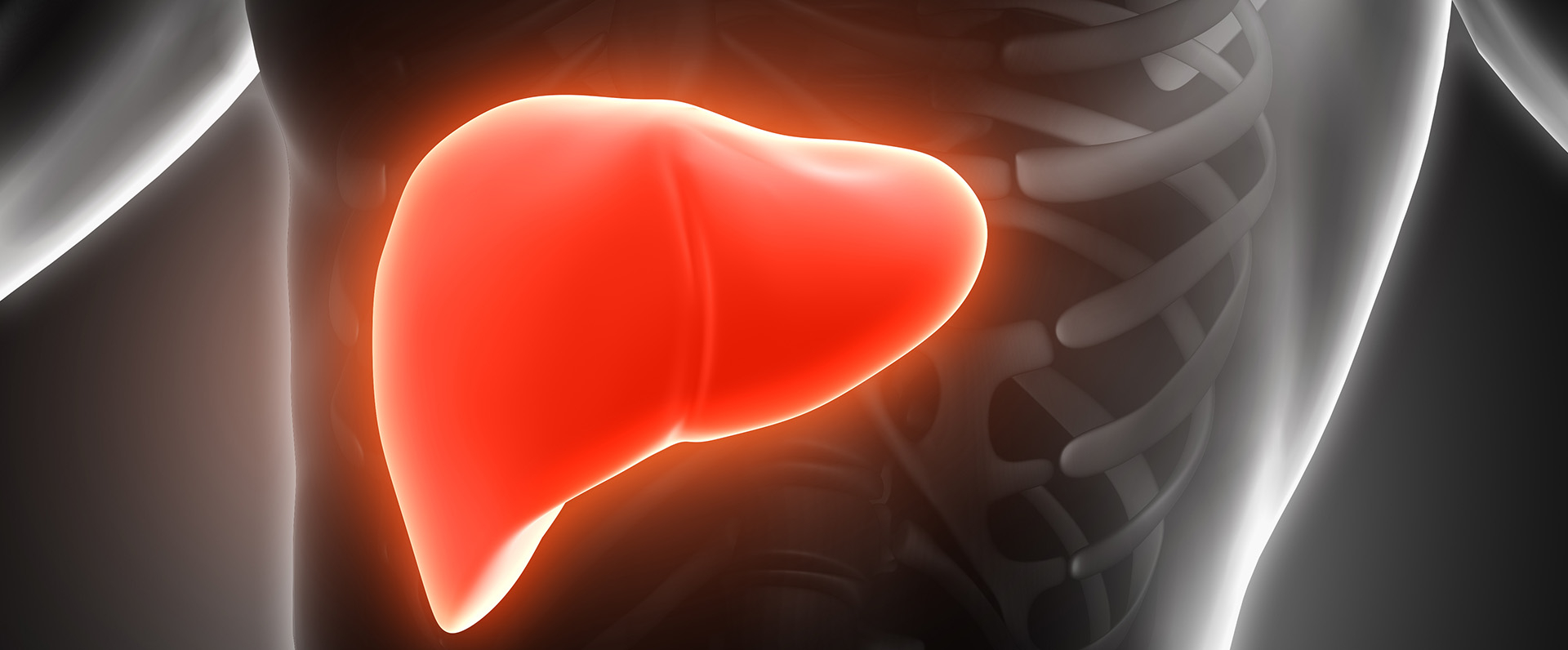 detection-and-treatment-of-hepatitis-b-drug-resistance